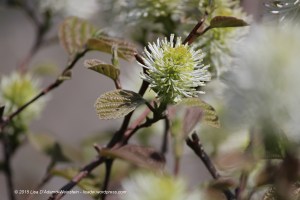 It's beautiful being green