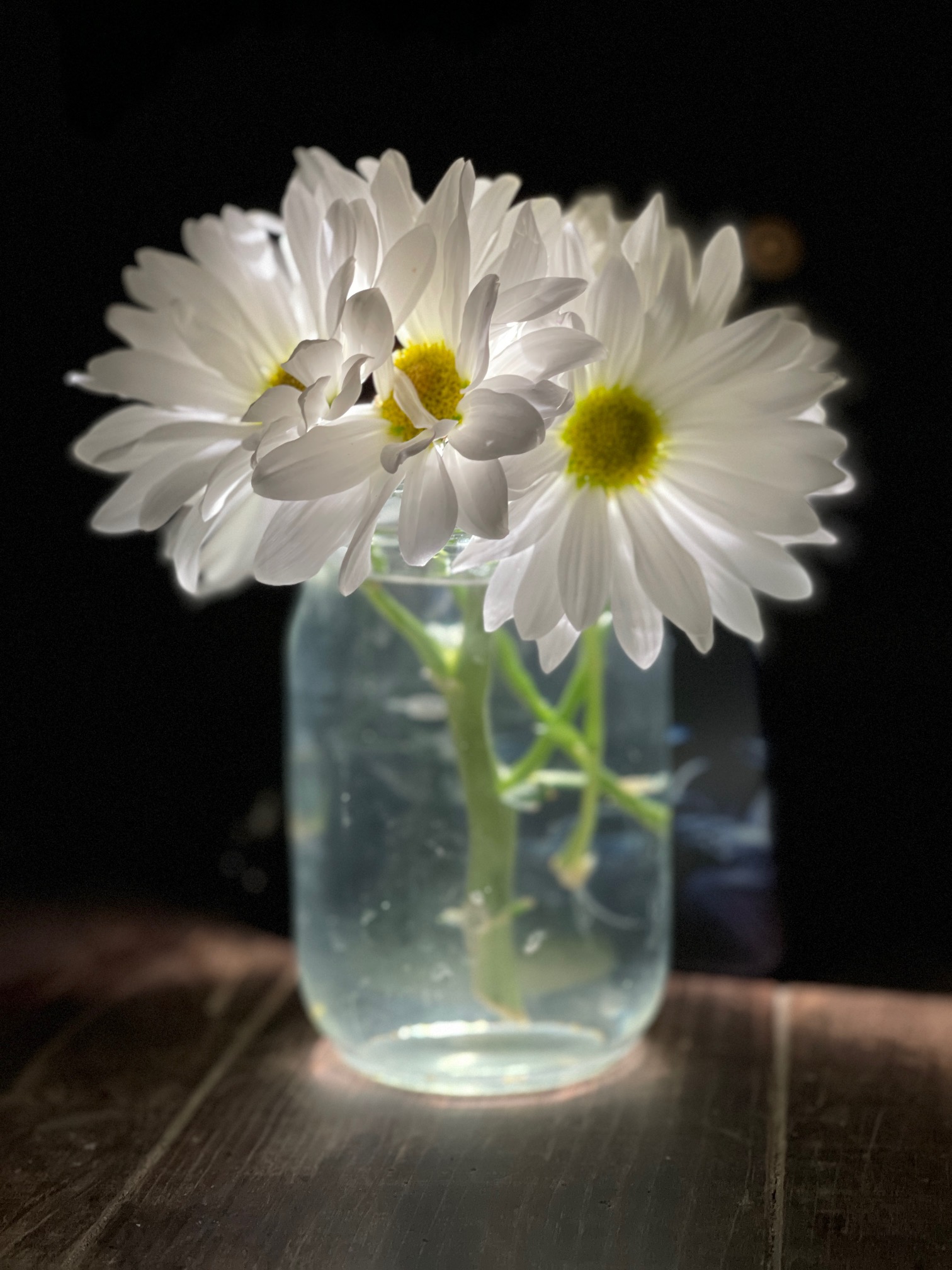 SOLD! For the first time…